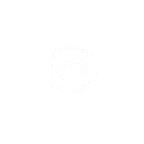 3-removebg-preview